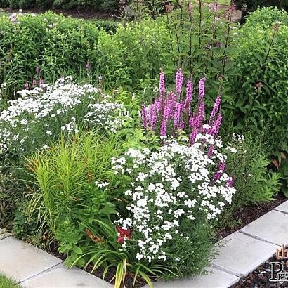 Turquoise Prairie Garden