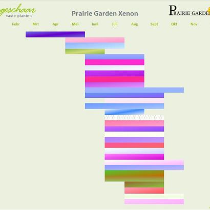 Xenon Prairie Garden