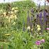 Agate Prairie Garden