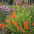 Copper Prairie Garden