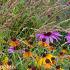 Copper Prairie Garden