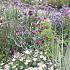 Fluorite Prairie Garden