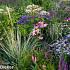 Fluorite Prairie Garden