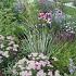 Fluorite Prairie Garden