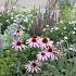 Fluorite Prairie Garden