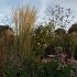 Fluorite Prairie Garden