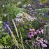 Fluorite Prairie Garden