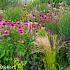 Garnet Prairie Garden