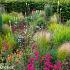 Jasper (Jaspis) Prairie Garden