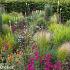 Jasper (Jaspis) Prairie Garden