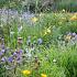 Opal Prairie Garden