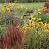 Opal Prairie Garden