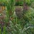 Pyrite Prairie Garden