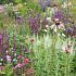 Quartz Prairie Garden