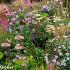 Spinel Prairie Garden