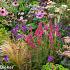 Spinel Prairie Garden