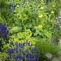 Sulfur Prairie Garden