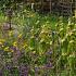 Sulfur Prairie Garden