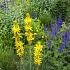 Sulfur Prairie Garden