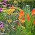 Topaz Prairie Garden