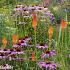 Topaz Prairie Garden