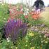 Tourmaline Prairie Garden