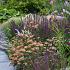 Tourmaline Prairie Garden