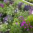 Tourmaline Prairie Garden