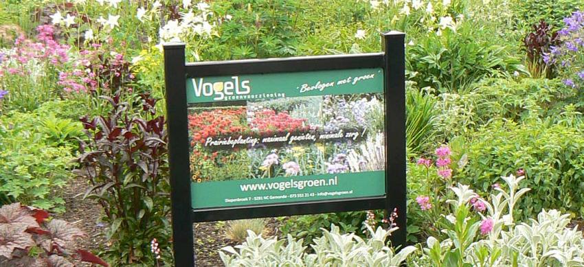 vogels website foto